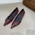 کفش پاشنه‌متوسط زنانه طراحی‌فرانسوی - تصویر 4